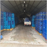 워터보이 PC 갤러리 2